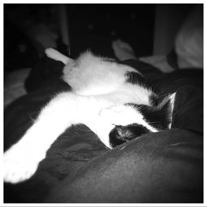 Meet your Posher, Cj